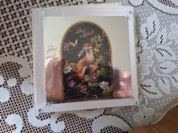 /album/photo-gallery-homepage/1000007772-jpg/